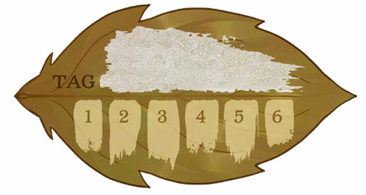 Pasted image 20240904155735.png